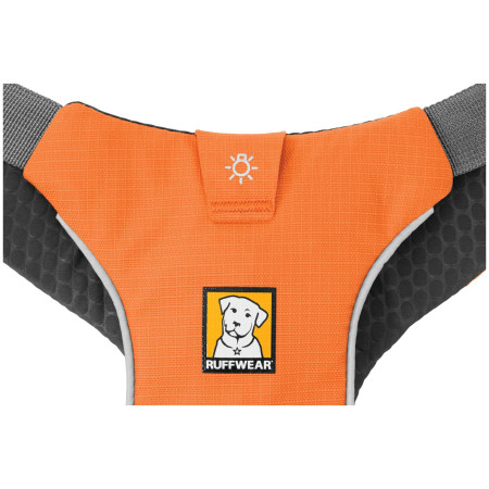 Ham pentru câini Ruffwear Omnijore Joring System