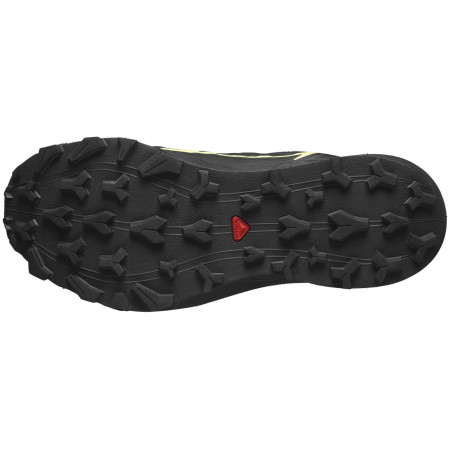 Încălțăminte de alergat pentru femei Salomon Thundercross Gore-Tex