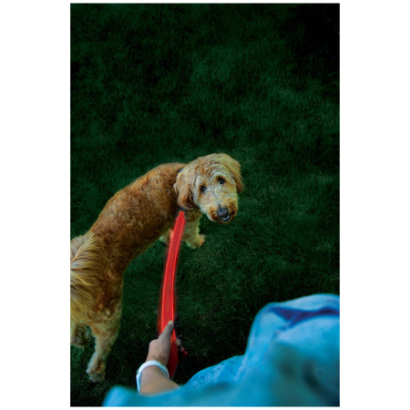 Lesă pentru câini Nite Ize LED NiteDog