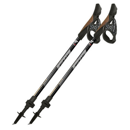 Bețe Nordic Walking Fizan R-Evolution