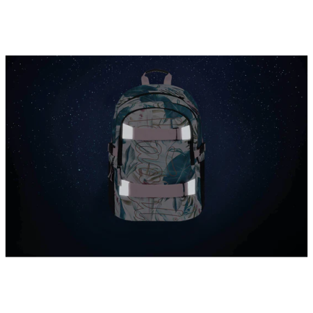 Rucsac de școală Baagl Skate