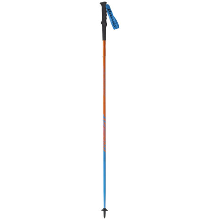 Bețe Dynafit Vertical Pole albastru general Lee / methyl blue