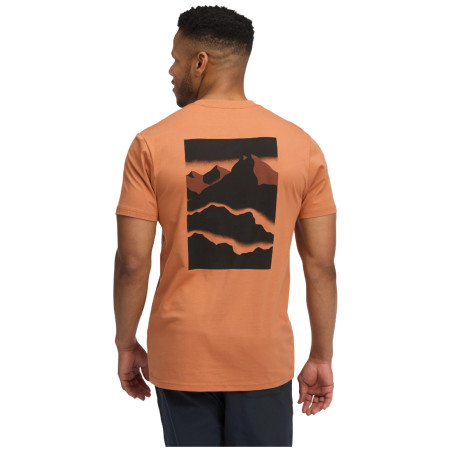 Tricou bărbați Black Diamond M Mountainscape SS Tee