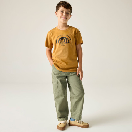 Tricou copii Regatta Bosley Wood Brown
