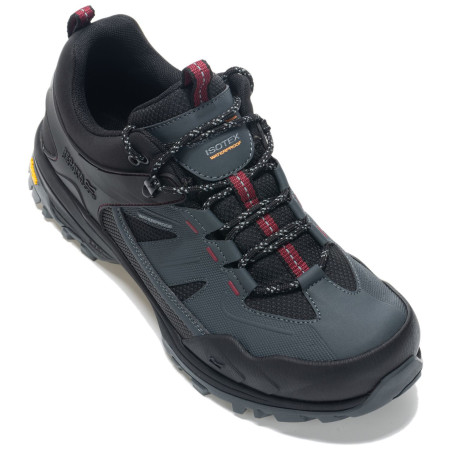 Încălțăminte bărbați Regatta Regen Low