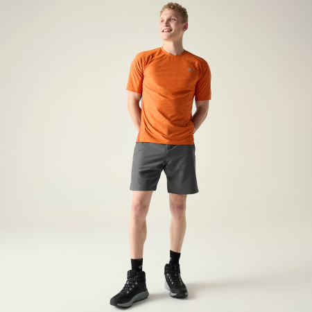 Pantaloni scurți bărbați Dare 2b Torrek II Short