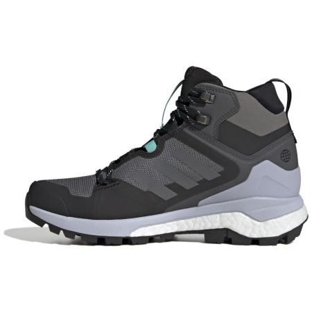 Încălțăminte femei Adidas Terrex Skychaser 2 MID GTX W