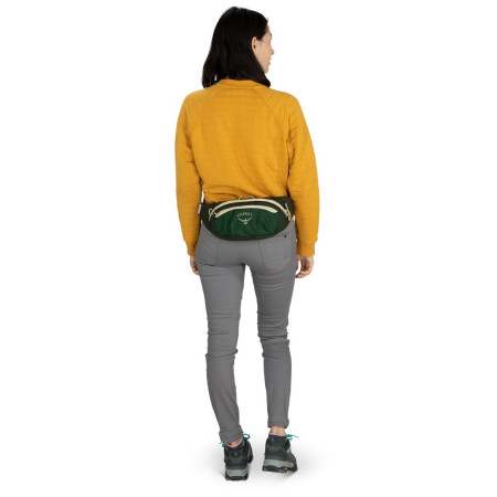 Borsetă Osprey Daylite Waist Black