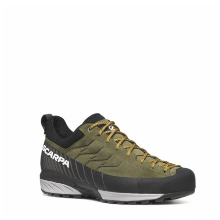 Încălțăminte bărbați Scarpa Mescalito GTX