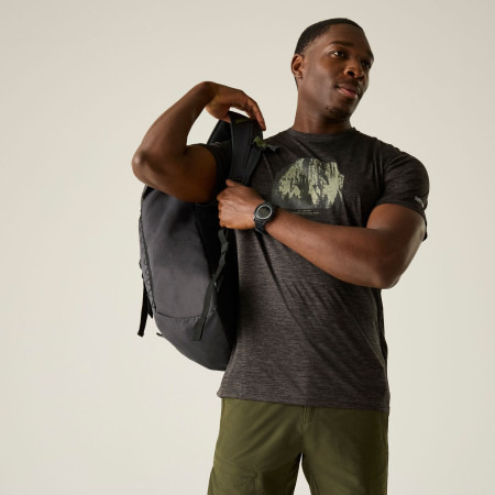 Tricou bărbați Regatta Fingal