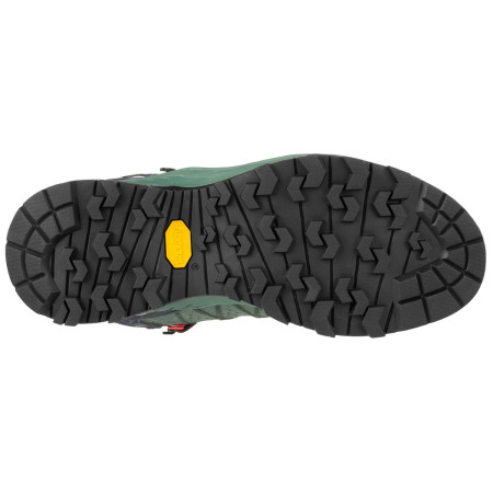 Încălțăminte femei Salewa Ws Alp Trainer 2 Mid Gtx