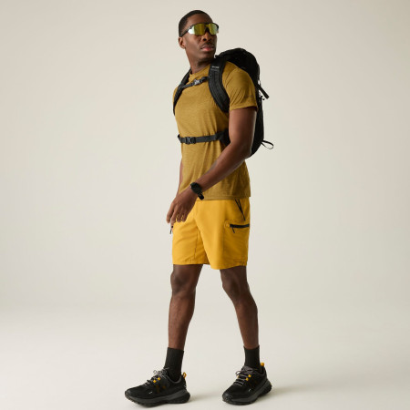 Tricou bărbați Regatta Fingal Edition