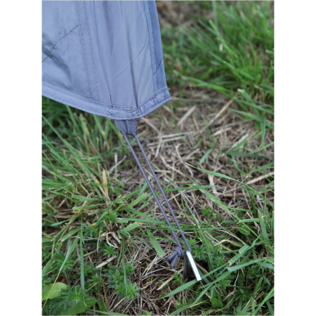 Cort Hannah Tycoon 2