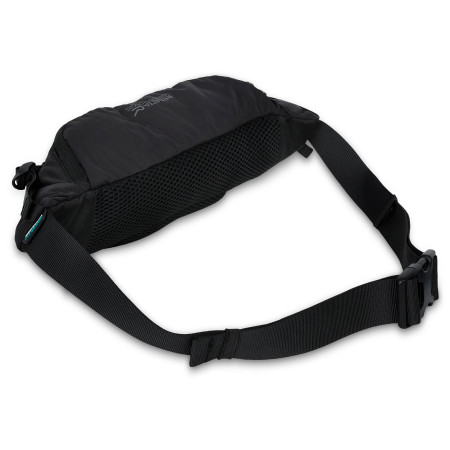 Borsetă Regatta Blackfell IV 5L Hip Pack
