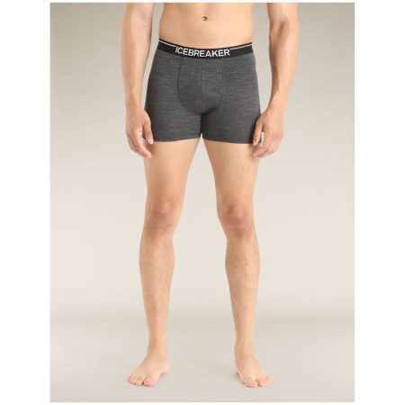 Boxeri bărbați Icebreaker Mens Anatomica Boxers