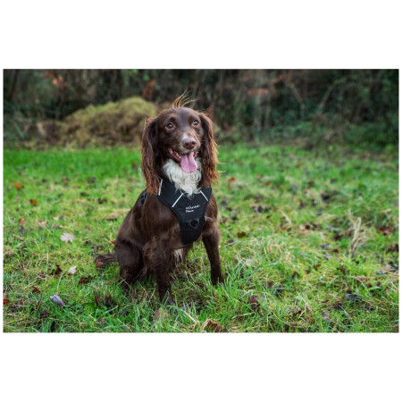 Ham pentru câini Mountain Paws Dog Harness