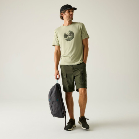 Pantaloni scurți bărbați Regatta Arlery Shorts