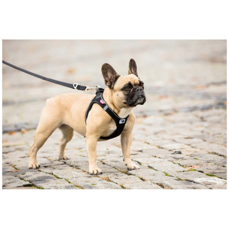Lesă pentru câini Curli Adjustable Leash Nylon
