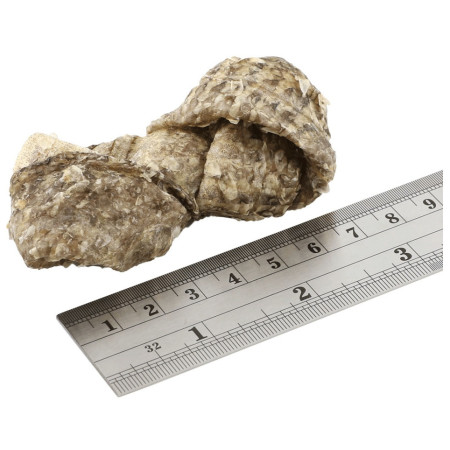 Recompense pentru câini Fish4Dogs Dental Sea Jerky Fish Knots 100g