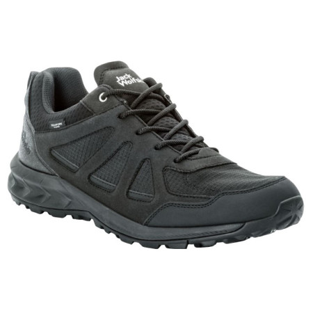 Încălțăminte turistică bărbați Jack Wolfskin Woodland 2 Texapore Low M negru