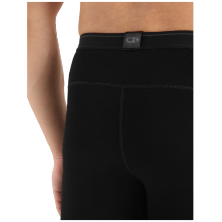 Indispensabili funcționali bărbați Icebreaker M 260 Tech Leggings wFly