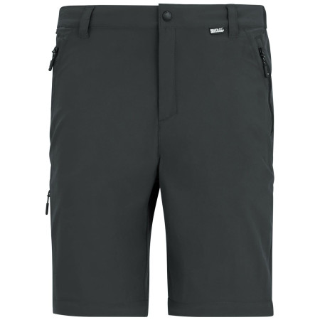 Pantaloni bărbați Regatta Anti-Insect Travel Light Z/O Trousers