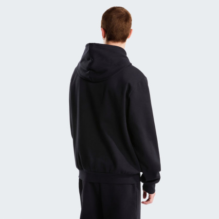 Hanorac bărbați The North Face M Evolution Simple Dome Regular Hoodie