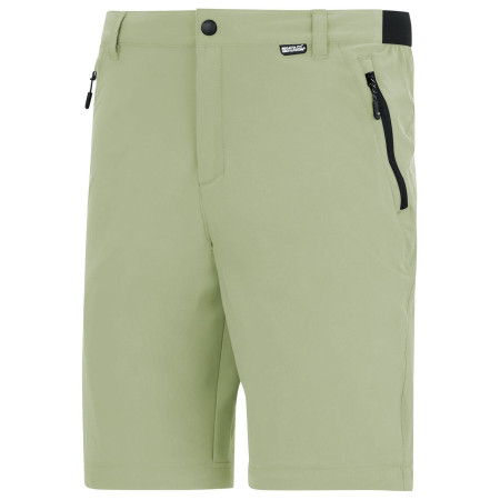 Pantaloni bărbați Regatta Anti-Insect Travel Light Z/O Trousers