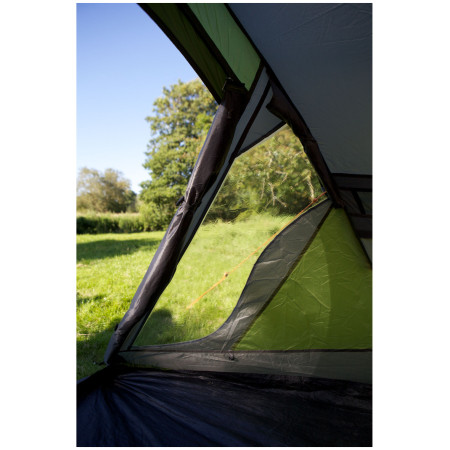 Cort Coleman Darwin 3+