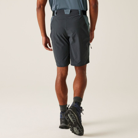 Pantaloni scurți bărbați Regatta Eldes Shorts