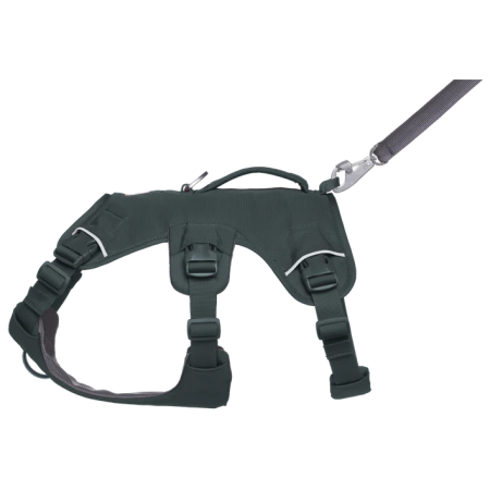 Ham pentru câini Ruffwear Web Master™ Harness