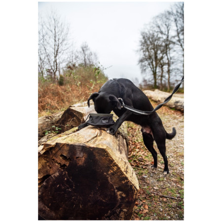 Bol pentru câini Mountain Paws Collapsible Dog Food Bowl