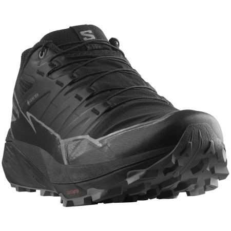 Încălțăminte de alergat pentru bărbați Salomon Thundercross Gore-Tex