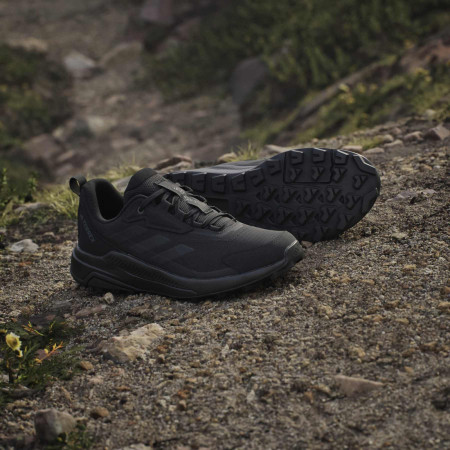 Încălțăminte femei Adidas Terrex Anylander W