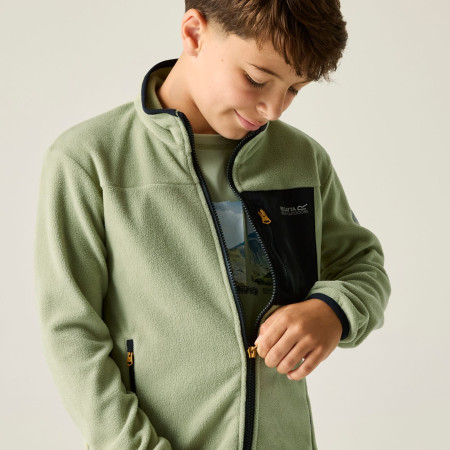 Hanorac copii Regatta Junior Frankie F/Z Light Sage