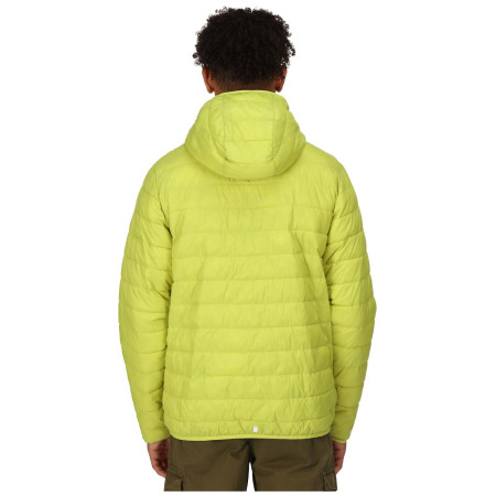 Geacă de iarnă bărbați Regatta Hooded Hillpack