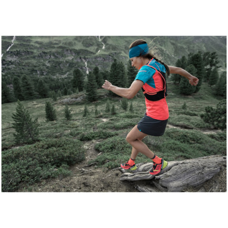 Șosete Dynafit Alpine Short Sk