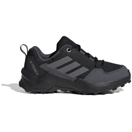 Încălțăminte copii Adidas Terrex Ax4R R.Rdy K gri/negru Black
