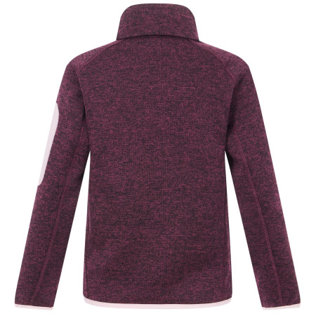 Hanorac copii Regatta Junior Newhill Fig Powder Lilac