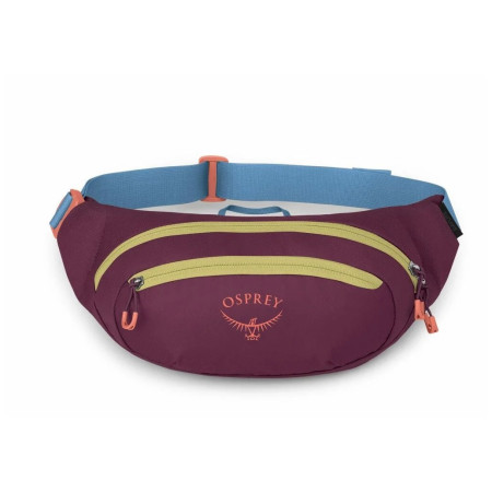 Borsetă Osprey Daylite Waist Pack