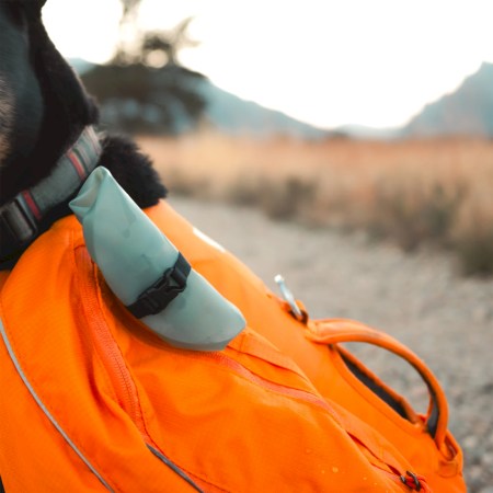 Bol pliant Hydrapak Rover Dog Bowl