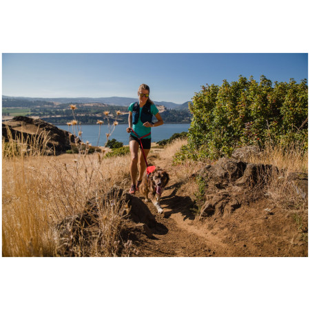 Ham pentru câini Ruffwear Switchbak™ Harness
