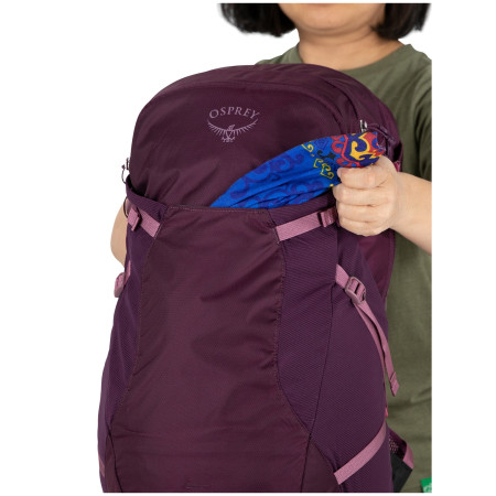 Rucsac turistic Osprey Sportlite 25