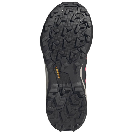 Încălțăminte turistică femei Adidas Terrex Skychaser Ax5 GTX W