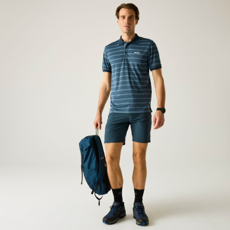 Tricou bărbați Regatta Kildra