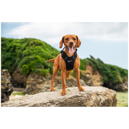 Ham pentru câini Mountain Paws Dog Harness