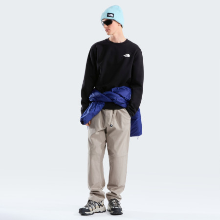 Hanorac bărbați The North Face M Evolution Box Nse Regular Crew
