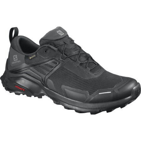 Încălțăminte bărbați Salomon X Raise GTX negru Black