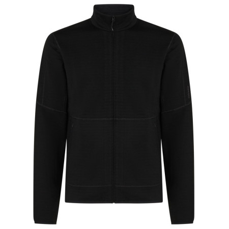 Hanorac bărbați Icebreaker M Mer 400 RealFleece Descender LS Z negru Black