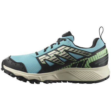 Încălțăminte de alergat pentru femei Salomon Wander Gore-Tex